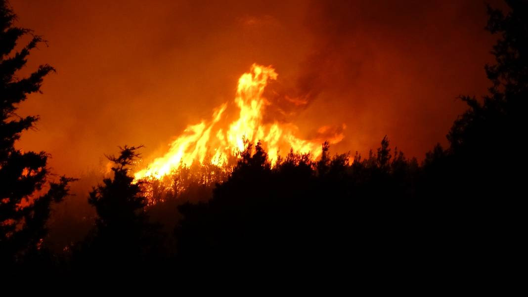 Çanakkale'deki Tarihi Alan'ın güney hattı ziyarete açıldı! Orman yangınında kapatılmıştı - Resim: 46
